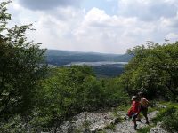 Ein paar von uns nutzten den letzten Tag um die Gänsegeier bei Cornino zu beobachten.